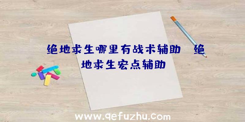 「绝地求生哪里有战术辅助」|绝地求生宏点辅助